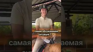 ужасные кадры фильма «мой любимый чемпион» #обзор #конныйспорт #новости