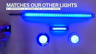 Wave One Marine | RGBW LED 4" Internal Driver Surface Mount Courtesy Light | IP67 Waterproof