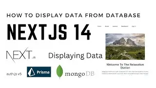 How to display data from mongodb to nextjs14 application | nextjs14 prisma mongodb beginner project