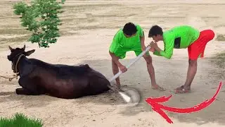 Very Special Funniest Funny Video 2023 😲amazing comedy video 2023 @funnyCircleYT