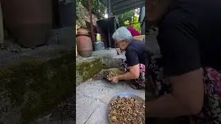 Erzincan/Kemaliye (Eğin) yöresine özgü çeşitli otlar ile yapılan Zetrin yapımı yakında kanalımızda