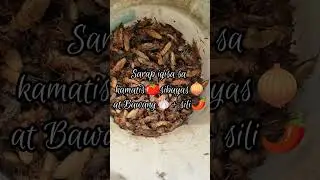 Exotic Pulutan to Ulam | Fresh Kuha na (Ararawan Kuliglig, Kamaru, Timos, Mole Crickets)