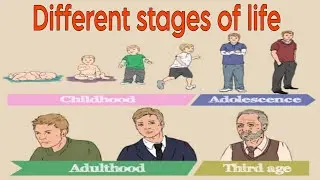 Stages of life || Human life cycle || life stages vocabulary