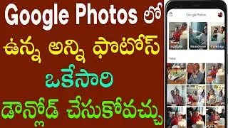 Download all photos from google photos at once | How to download all your Google Photos to your PC