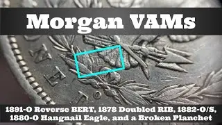 Morgan Dollar VAM Varieties - Die Clash BERT, Doubled RIB, 1882-O/S, Hangnail Eagle. Broken Planchet
