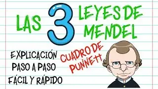 🌿LAS LEYES DE MENDEL, CUADRO DE PUNNETT  PASO A PASO, EXPLICACIÓN  [Fácil y Rápido] | BIOLOGÍA |