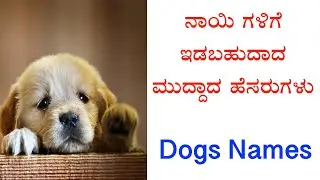 Top 10 Best MALE Dog Names Ideas 2024-2025 || Unique & Cute Boy Dog Names ||