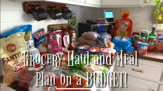 Grocery Haul and Meal Plan on a BUDGET! Family of 6- frugal food!