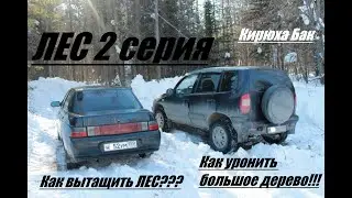 ЛЕС 2 серия/как добывают ЛЕС/Кирюха Бак