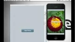 Upload a Photo from an iPhone