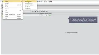 STMS Configuration using Virtual systems