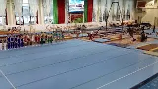 Республиканские соревнования по спортивной гимнастике 2017   01
