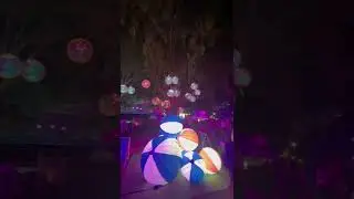 QLD FEST | Brisbane South Bank