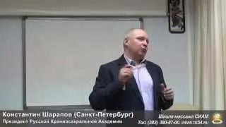 К. Шарапов - Дисфункция Вебстера, Стил поинт и работы доктора Хамера