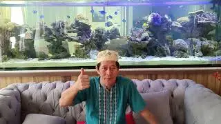 AQUARIUM AIR LAUT JUMBO 3 M .