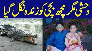 Magarmuch Bachi Ko Zinda Nigal Gaya