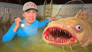 Nemu Ikan Mematikan di Kolam Terbengkalai…