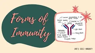 Forms of Immunity