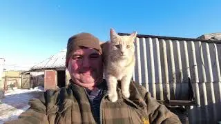 КОТЁНОК КАК БЕЛЬЧОНОК.