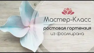 БЕСПЛАТНЫЙ МК РОСТОВАЯ ГОРТЕНЗИЯ ( из фоамирана )