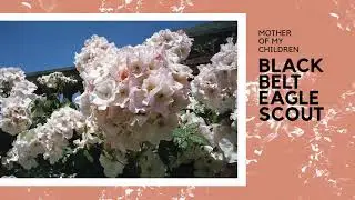 Black Belt Eagle Scout - Soft Stud [Official Audio]
