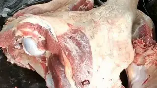 Amazing Meat Beef Cutting Skills / In best beef cutting