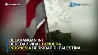 Bendera Indonesia di Kibarkan di Palestina