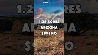 1.24 acres for sale in Arizona. $99/mo. #foryou #realestate #land #shorts #property #fyp #arizona