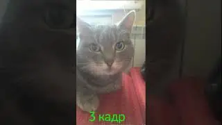 3-ий кадр