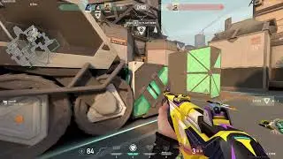 Guardian ace 5 bullets