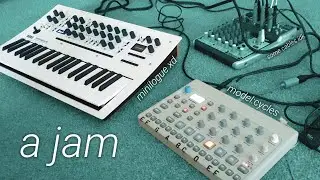 Elektron Model:Cycles + Korg Minilogue XD chill jam  #jamuary