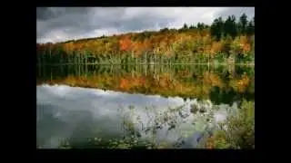 "Топи да болота" / БДХ / Есенин / Пахмутова