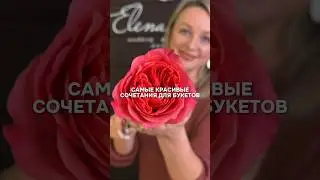 Забери ПЯТЬ цветовых сочетаний