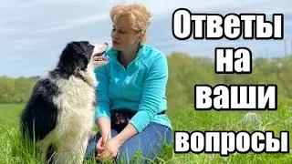 Как научить команде 