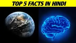 Top Five Facts / 5 अतभुत तथय /Mystery Viral / Getsetfly fact / hindi countdown/#myv #facts #socks