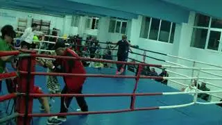 Bocean Ana Maria vs Botezatu Maria Magdalena