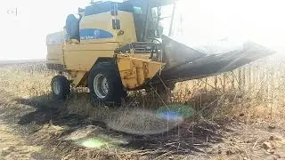 BİÇERDÖVER AYÇİÇEĞİ TARLASINI BİÇERKEN