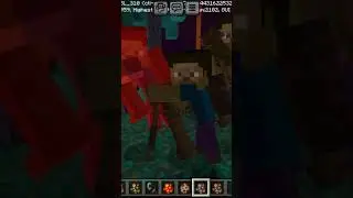 Battle of Nether