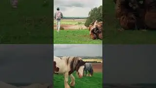 Hackpen White Horse, Wiltshire, UK