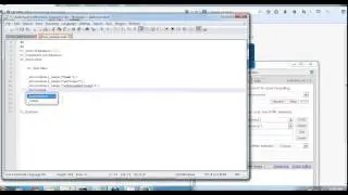 Sahi: start a script