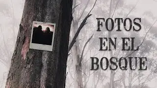 Fotos en el bosque - Creepypasta