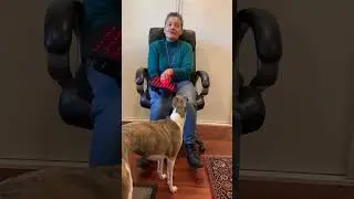 Canine Wellness Coach - Noelle Bel discusses her work with Red Light Therapy.