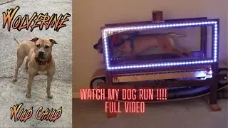 Wolverine's full treadmill Video