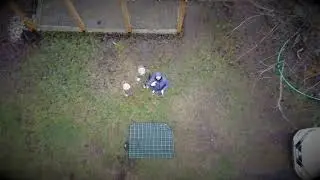 Dji Mavic Mini Rocket Flight