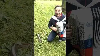На рыбалку с баяном #владимирбутусов #бутусовбаянист #баян #баянист
