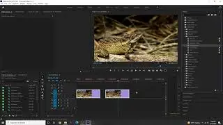 Adobe Premiere Pro Chapter 12.1 Fixed or intrinsic effects & standard effects