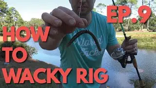 How to Fish a Wacky Rig - How to Bass Fish Ep. 9