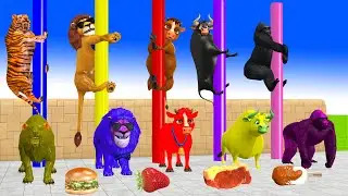 Paint Animals Cow, Gorilla,Tiger, Lion, Ferdinand Fountain Crossing Transformation Animals Cartoon