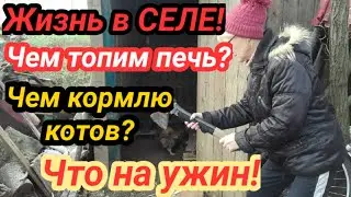 ЖИЗНЬ в СЕЛЕ! ДОМАШНИЕ ХЛОПОТЫ! С УТРА ДО ВЕЧЕРА!