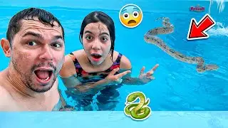 UMA COBRA INVADIU A NOSSA PISCINA ?! *Olha no que deu